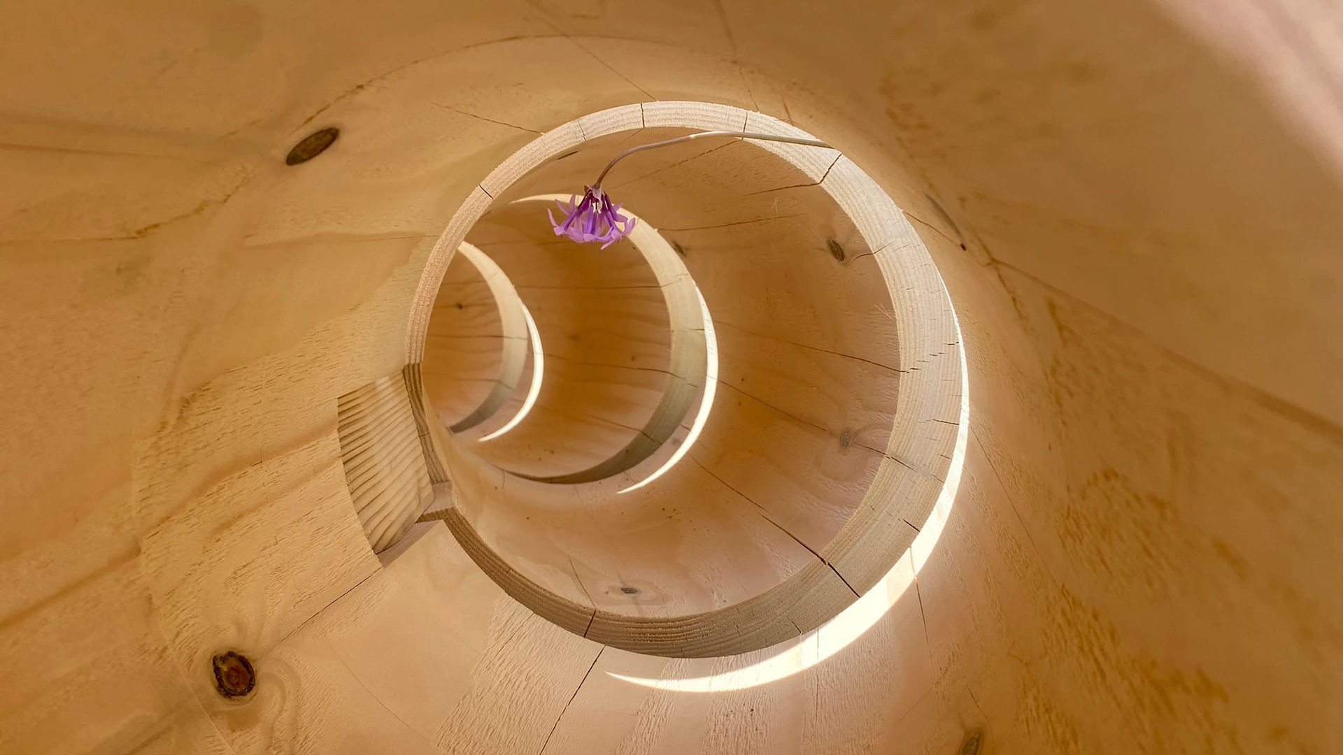 Atelier Edition Bois Numérique